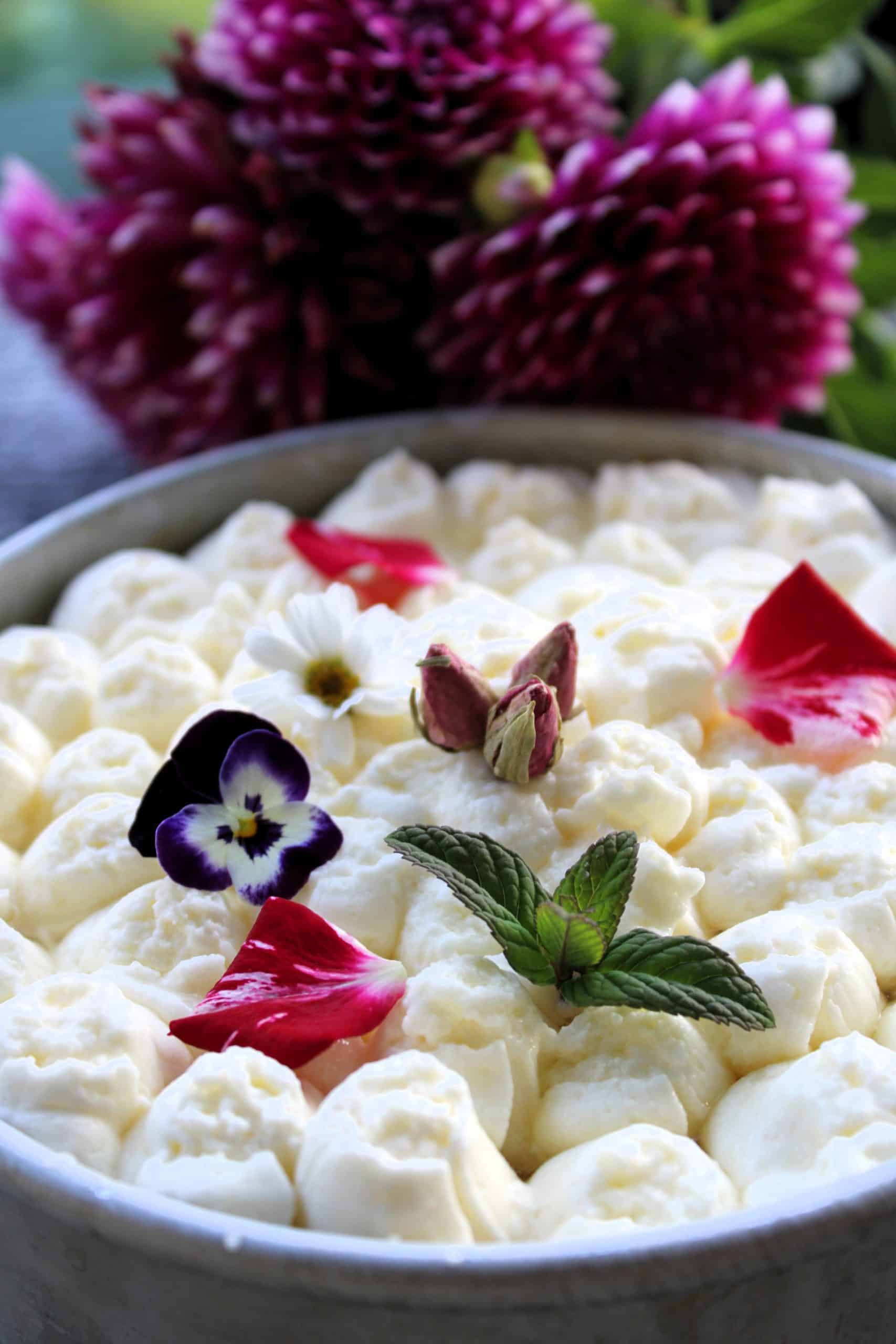 IMG_2067 - דוד כרמי